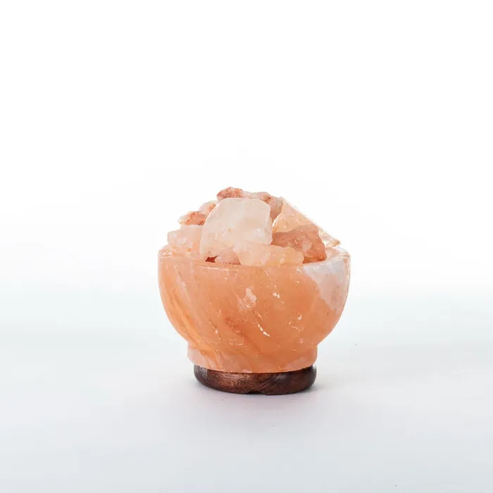 Earrings Salt Lamp Salt Rock Bowl Lamp
