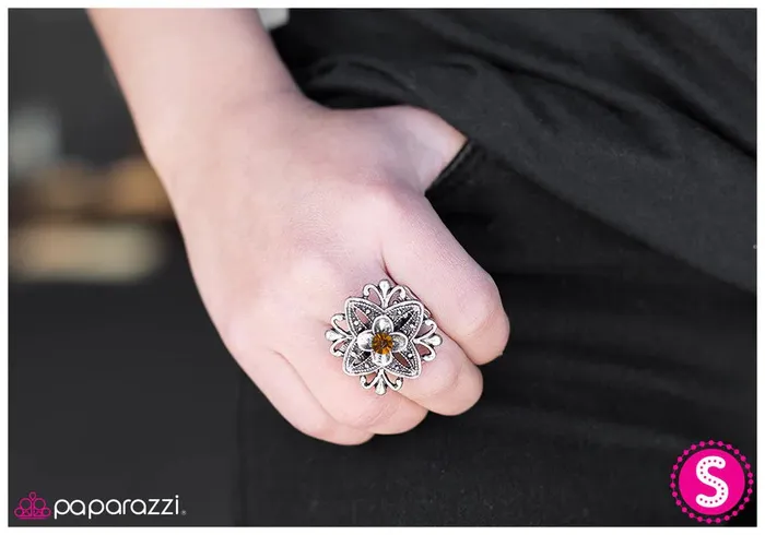 Rings Paparazzi Jewelry Paparazzi Ring Never Been Better Brown
