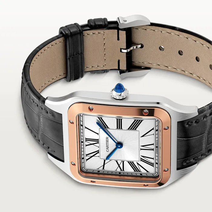 Watches Cartier SantosDumont watch CRW2SA0017 Watches Cartier SantosDumont watch CRW2SA0017