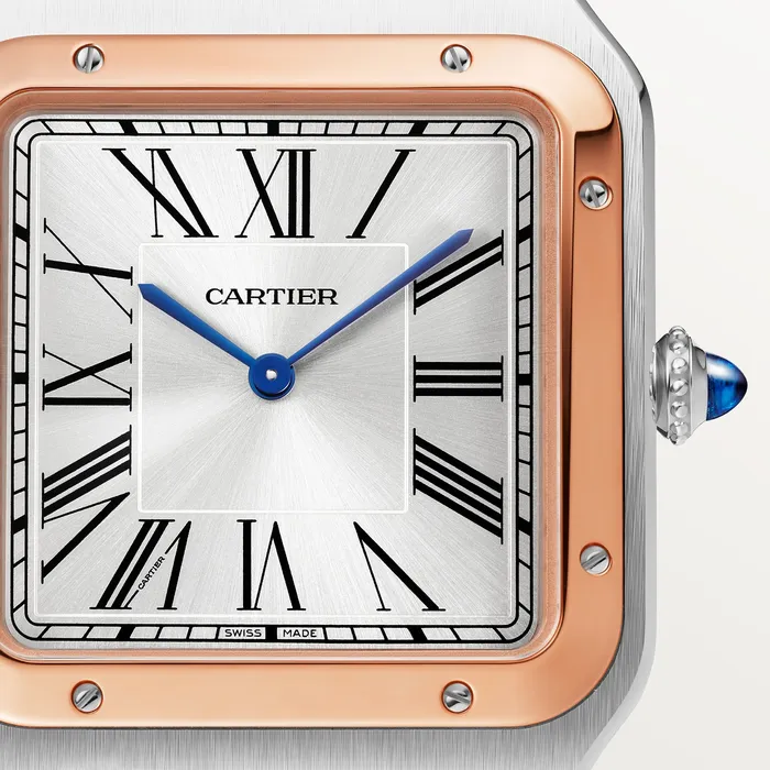 Watches Cartier SantosDumont watch CRW2SA0017 Watches Cartier SantosDumont watch CRW2SA0017