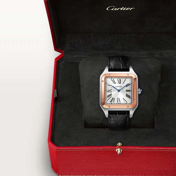 Watches Cartier SantosDumont watch CRW2SA0017 Watches Cartier SantosDumont watch CRW2SA0017