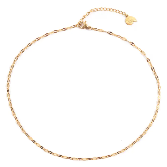 Delicate Choker Gold Hey Happiness PreStyled Sets