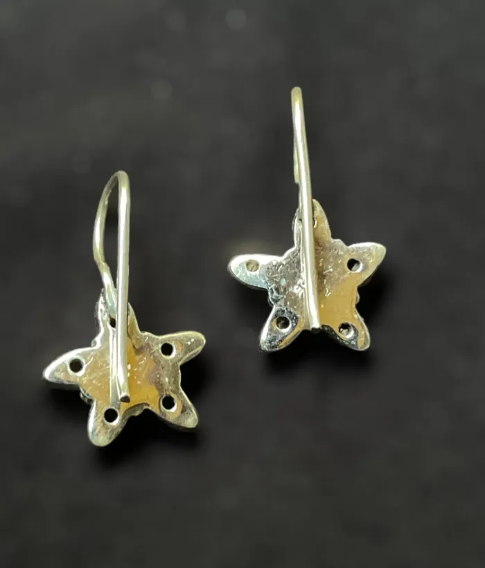 Earrings Gemstone The Vinaya Silver Gemstone Earrings Red