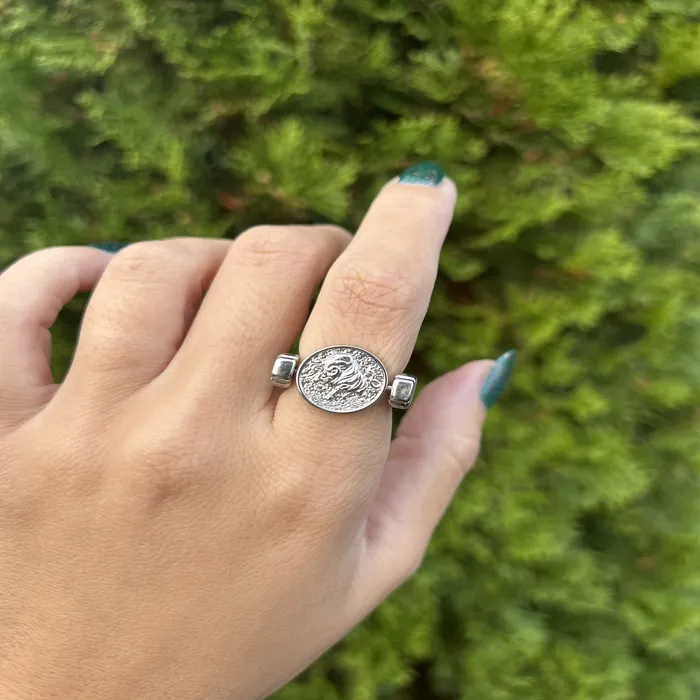 Luxe Silver Zodiac Fidget Ring MyCONQUERing Rings