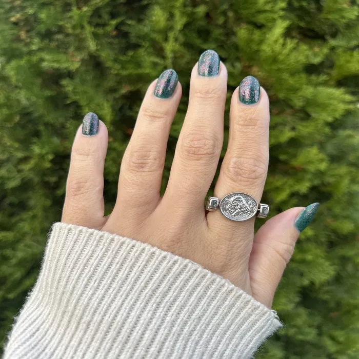 Luxe Silver Zodiac Fidget Ring MyCONQUERing Rings