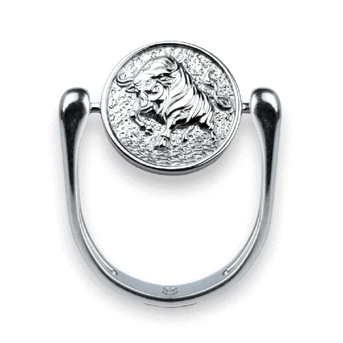 Luxe Silver Zodiac Fidget Ring MyCONQUERing Rings