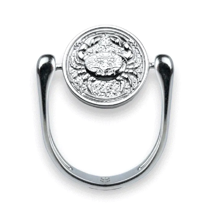 Luxe Silver Zodiac Fidget Ring MyCONQUERing Rings