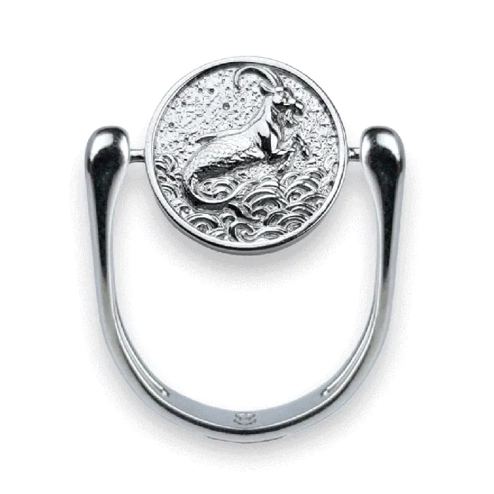 Luxe Silver Zodiac Fidget Ring MyCONQUERing Rings