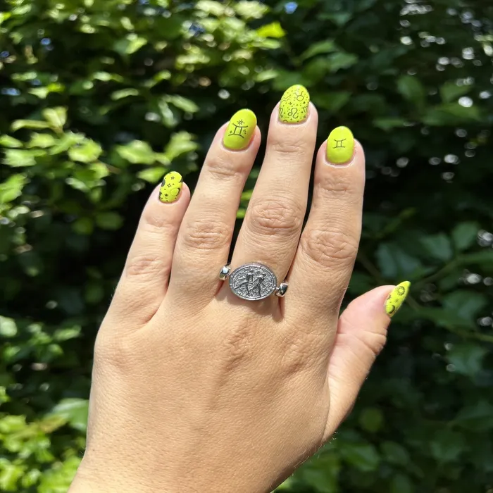 Luxe Silver Zodiac Fidget Ring MyCONQUERing Rings