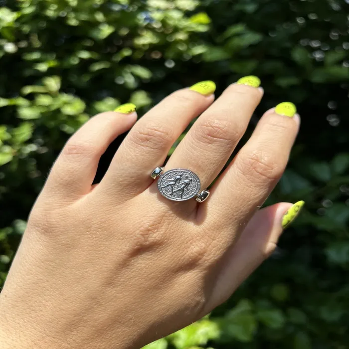 Luxe Silver Zodiac Fidget Ring MyCONQUERing Rings