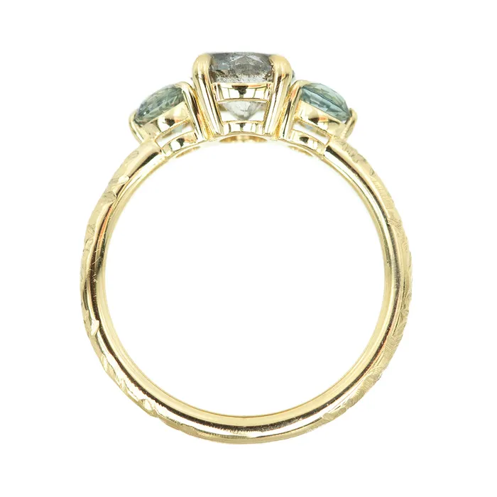Anueva Jewelry Rings 107ct Round Salt And Pepper Diamond Three Stone Ring With Montana Sapphire Side Stones In 14k Yellow Gold