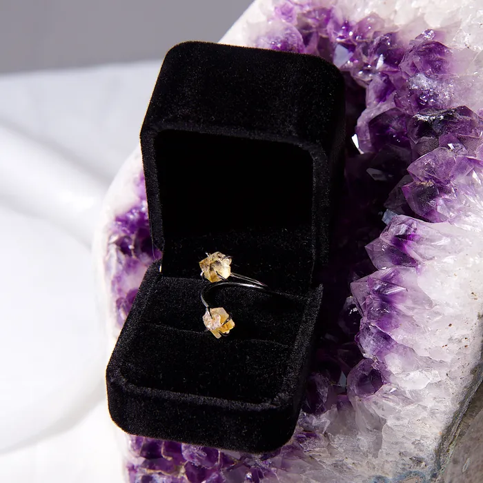 Beau Life Rings Double The Attention Citrine Ring