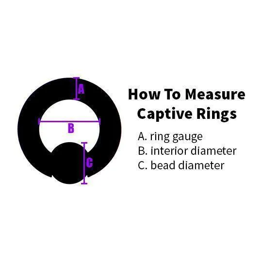 Body Circle Designs Rings 16g Captive Bead Ring by Body Circle Designs Body Circle Designs Rings 16g Captive Bead Ring by Body Circle Designs