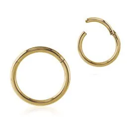 Rings Tulsa Body Jewelry 16g Zircon Gold Hinged Segment Ring