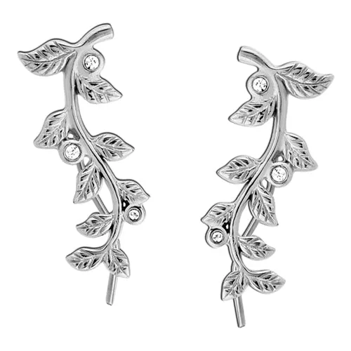 Tulsa Body Jewelry CZ Vine Wire Hook Earrings Earrings