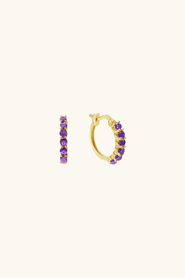 Karma Hoop Earrings Amethyst Sierra Winter Jewelry Earrings