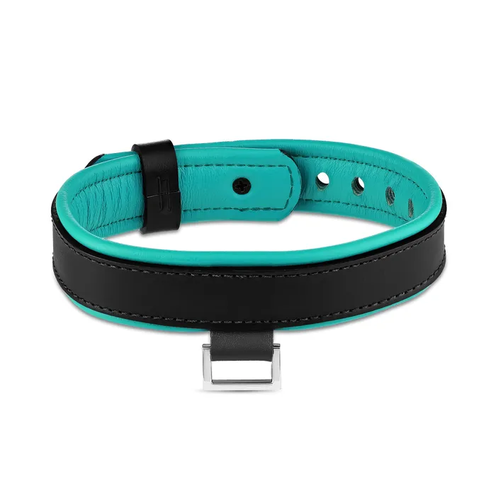 Rings Eternity Collars Leather Collar with Horizontal Ring