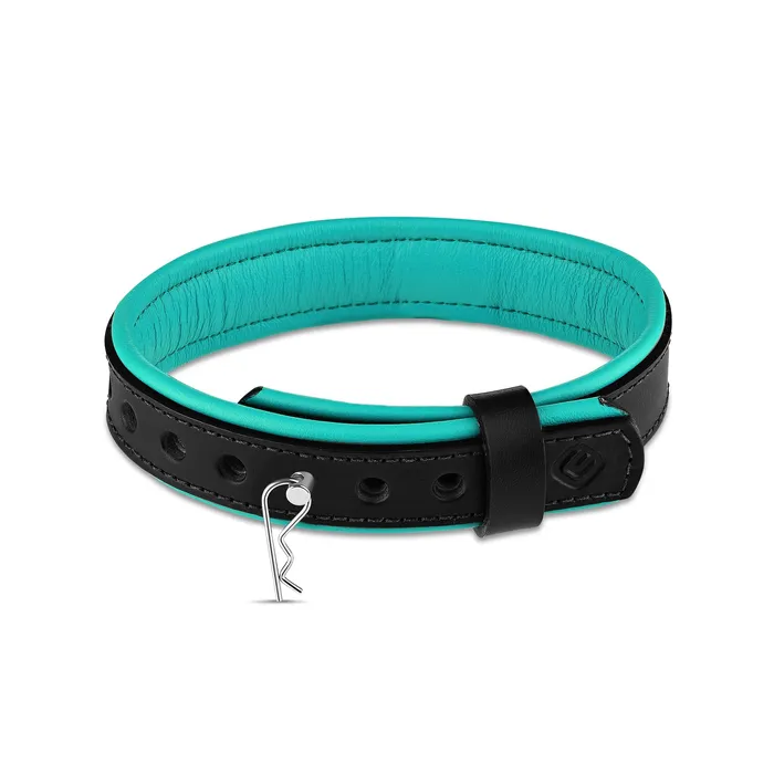 Rings Eternity Collars Leather Collar with Horizontal Ring