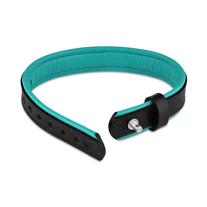 Rings Eternity Collars Leather Collar with Horizontal Ring