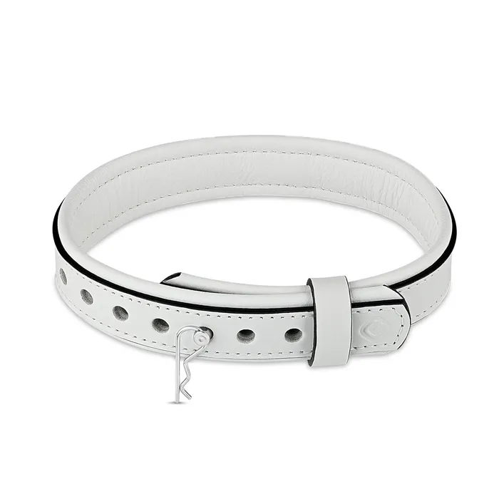 Rings Eternity Collars Leather Collar with Horizontal Ring
