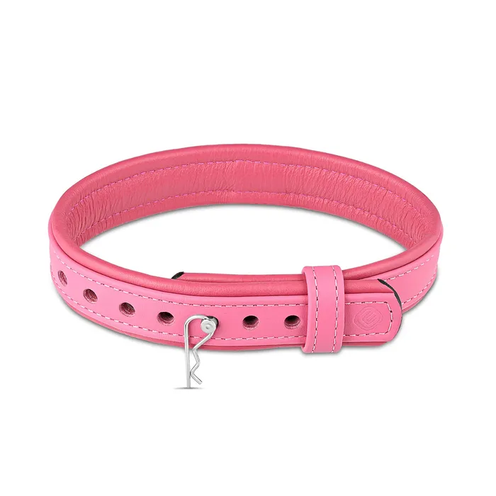 Rings Eternity Collars Leather Collar with Horizontal Ring