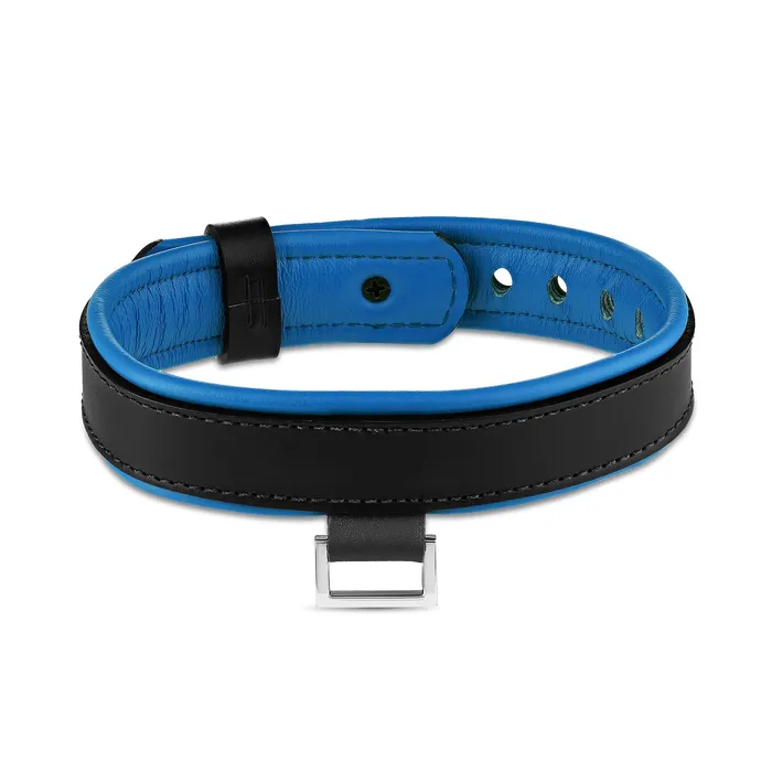 Rings Eternity Collars Leather Collar with Horizontal Ring
