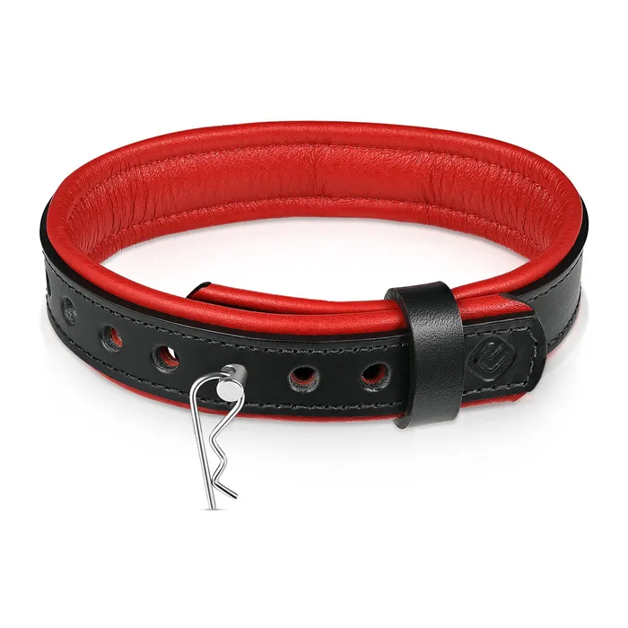 Rings Eternity Collars Leather Collar with Horizontal Ring