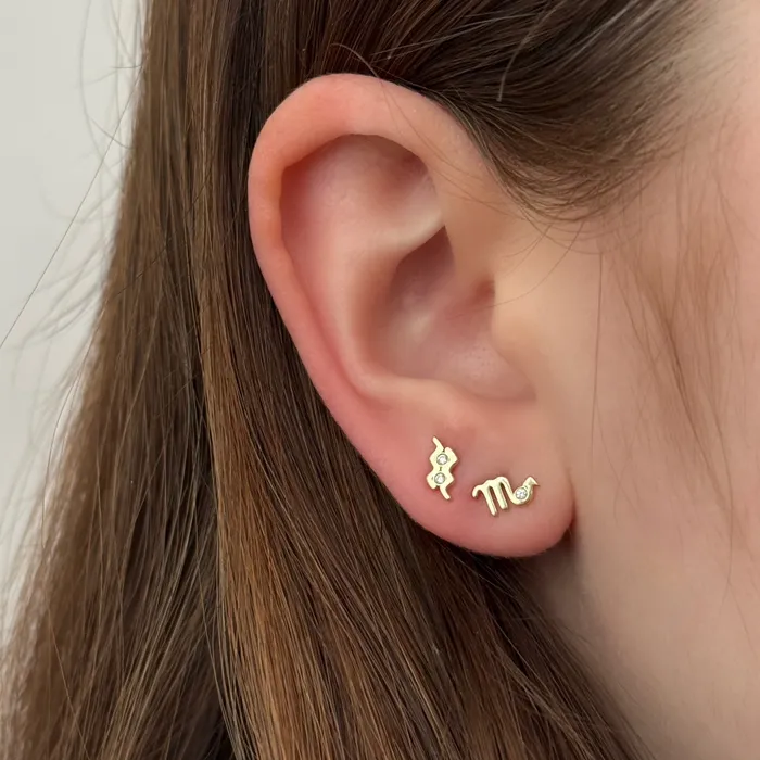 Small Zodiac Stud Earring SG Fine Earrings