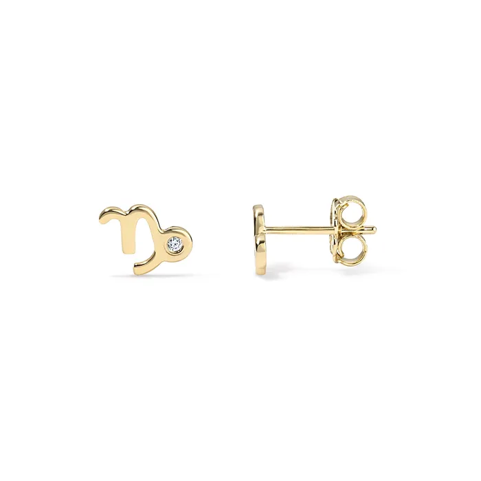 Small Zodiac Stud Earring SG Fine Earrings